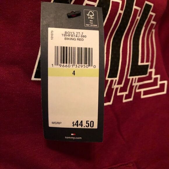 TOMMY HILFIGER KIDS - NWT Todder Boys Size 4 TSP Fast Break LS Pullover Hoodie♥️ - Picture 12 of 13